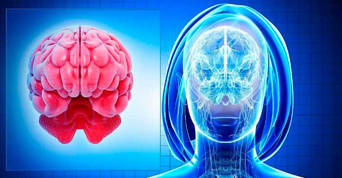 Новости современных технологий в лечении заболеваний мозга