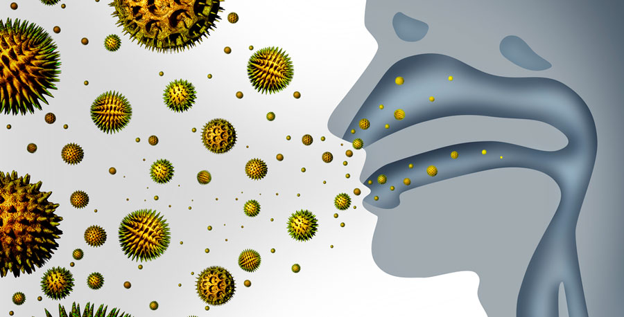 Как пыльца влияет на заболеваемость гриппом и COVID-19?