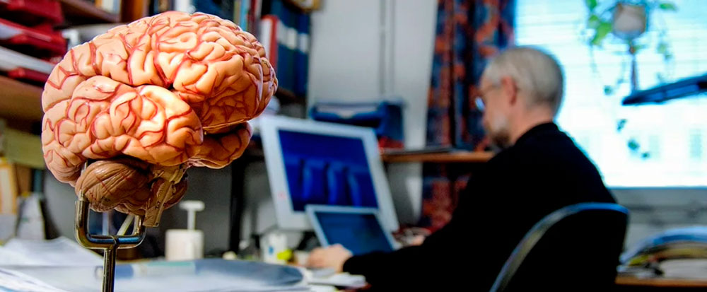 Разработан новый способ анализа активности головного мозга человека