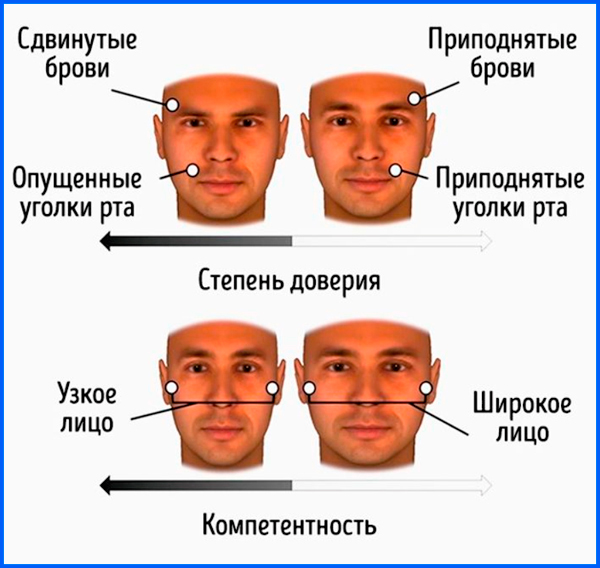 Онлайн-тест: определение формы лица