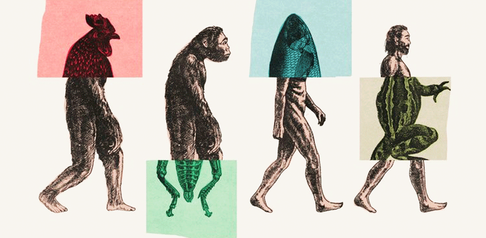 Эволюция человека: есть ли «недостающее звено» и куда делись неандертальцы?